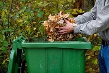 Photo of person dropping two handfuls of yard waste into yard waste bin.